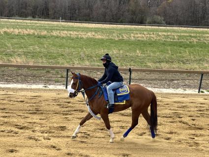 U Kant Whip It at Overbrook Farm on Thursday, April 16, 2022 (Christopher Driscoll)