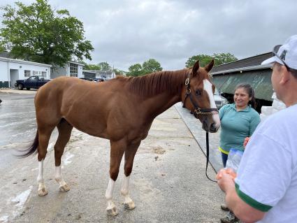 U Kant Whip It work at Monmouth Park on May 28, 2022 (Christopher Driscoll)