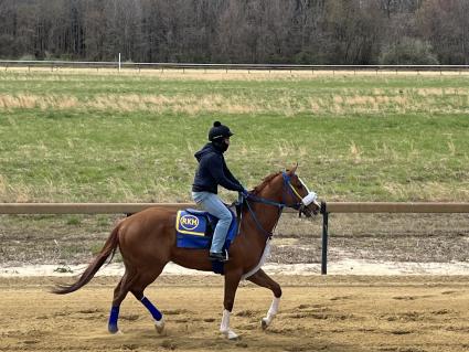 U Kant Whip It at Overbrook Farm on Thursday, April 16, 2022 (Christopher Driscoll)