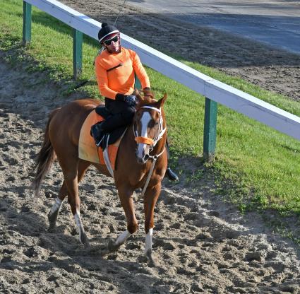 U Kant Whip It work at Monmouth Park on June 5, 2022 (Scott Schaub)