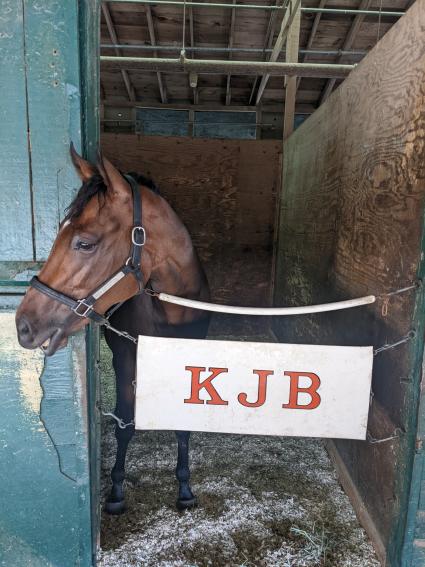 Without a Net at Monmouth Park on August 6, 2022 (Scott Schaub)