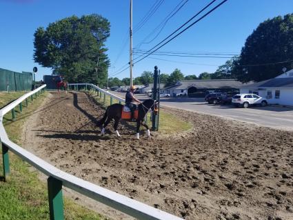 Super Saver colt You Betcha at Monmouth Park (Jack Czajkowski)