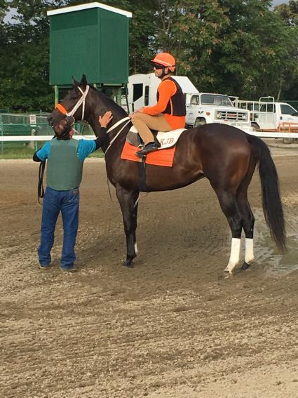 You Betcha gate training at Monmouth Park on Friday, September 21, 2018. (Bob Kasinow)