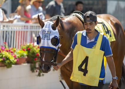 Preacher in in race 5 at Los Al on June 30, 2019 (Zoe Metz)