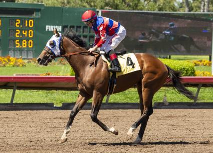 Preacher in in race 5 at Los Al on June 30, 2019 (Zoe Metz)