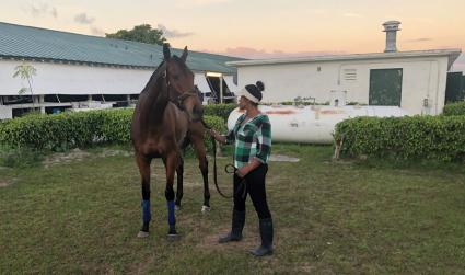 Trilby at Gulfstream Park on March 31, 2020 (Ron Spatz)